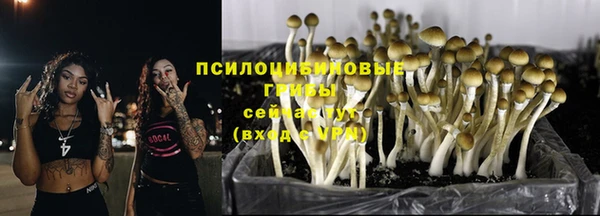 Альфа ПВП Киреевск